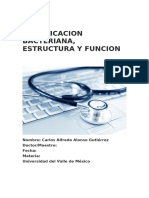 Resumen Clasificacion Bacteriana