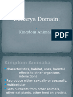 Animalia