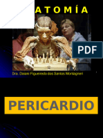 3.1 - Corazon - Pericardio + Config. Externa