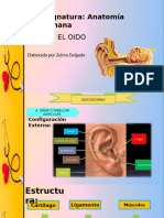 Oido Exposicion 1