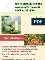 ALOE VERA ENGLISH ORIGINAL