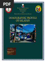 Demographic Profile of Salapan 2023