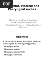 Branchial, Visceral and Pharyngeal Arches