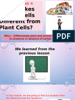 Q2W3 Plants and Animal Cells