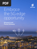 5g Core Local Packet Gateway Datasheet