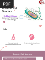 Medical Terminology-Second Lecture