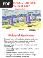 Membrane Structure Bioinfo 2022