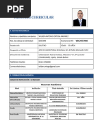 Sintesis Curricular Wilber 2021