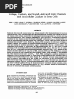 Voltage, Calcium, and Stretch Activated Ionic Channels and Intracellular Calcium in Bone Cells