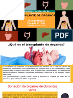 Tras Plantes de Organos