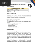 Formato - Evaluación - PP Avance