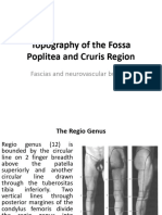 Topography of The Fossa Poplitea and Cruris Region