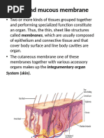 Skin and Membranes