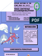 Skeletons and Muscles Educational Presentation in A Blue Purple Lined Style - 20241026 - 171123 - 0000