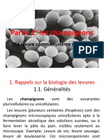 Partie 2 Les Champignons