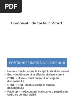 Combinaţii de Taste În Word