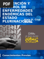 Prevención y Control de Enfermedades Endémicas Del Estado Plurinacional