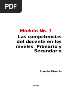 Modulo Sobre Competencias Del Docente