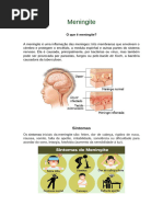 Projeto Integrador Meningite