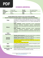 Reporte Ecografico Gabriela