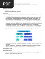 Planificación Neurona