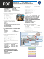 Geografía Iii Trim 1ero