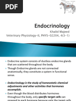 Lecture 26 Endo Intro, Hypothalamus, Pituitary