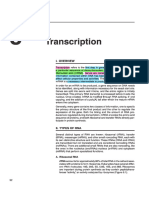 II.3. Transcription