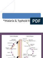 Malaria & Typhoid Updated