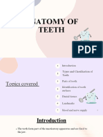 Anatomy of Teeth