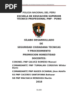 Silabo Desarrollado Del Curso Seguridad Ciudadana Ii Semestre Honestidad