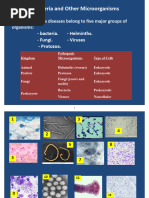 Medical Microbiology Slides Use This 3