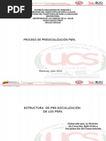 Estructura Del Proceso de Pre Socialización PNFA 2022