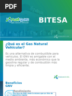 Presentacion Natgas