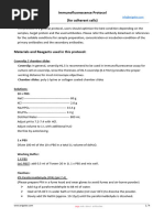 Immunofluorescence Protocol