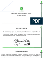 Curso Bios Academy Produccion de Litopenaeus Vannamei