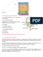 Guia Anatomia