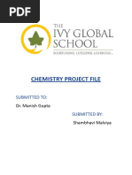 Chemistry Project File