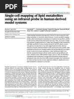 Single Cell Mapping of Lipid Metabolites Using An Infrared Probe in Human Derived Model Systems