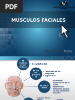 Músculos Faciales