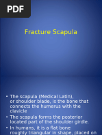 Fracture Scapula - 11127 - PT 1126-T - 21-01-2021