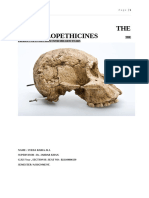 Discovery of Australopithecines