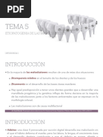 Tema 5 Etiopatogenia de Las Maloclusiones