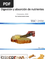 Digestión y Absorción II-2024