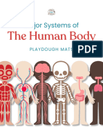 2022 Playdough Mats The Human Body