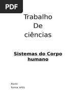 Trabalho de Ciencias Sistemas