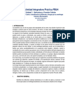 Actividad Integradora Práctica PBU3. Cultivo e Identificación de Bacterias y Hongos