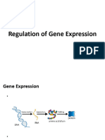 Regulation of Gene Expression