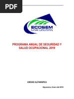 Plan Anual Ssoma 2019 - Ecosem Carhuacayan