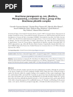 Guerrero Etal - 2019 - Brachionus Paranguensis SP Nov